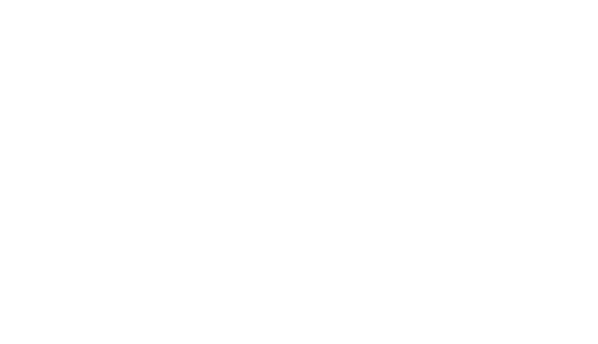 Торговая сеть TN